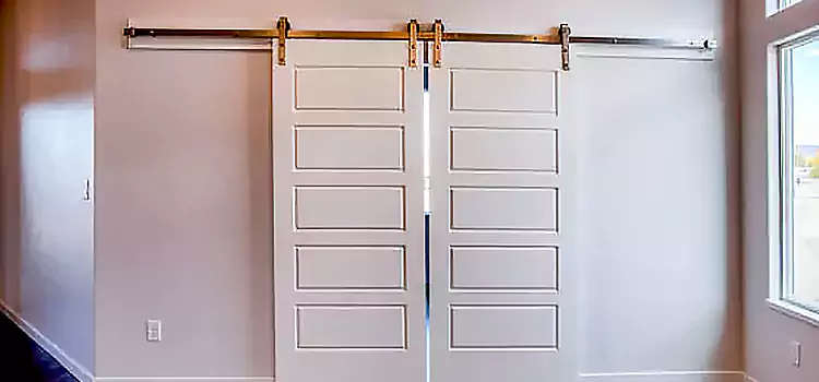 Glass Barn Door with Installation Hardware Kit Henderson