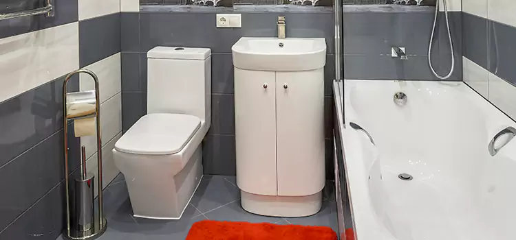 Hansgrohe Shaving Mirror Henderson